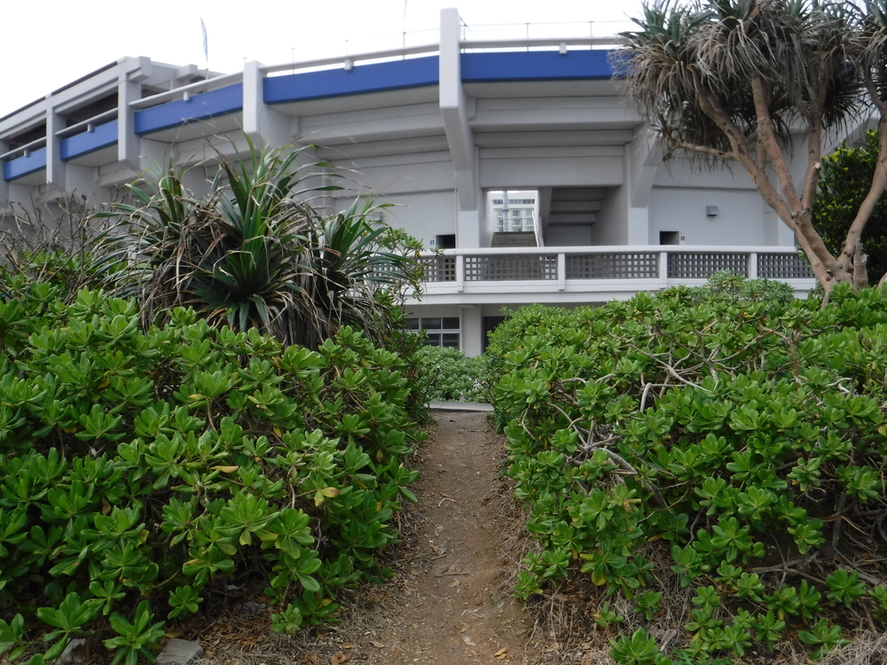 沖縄・宜野湾トロピカルビーチ周回4.5キロの写真11