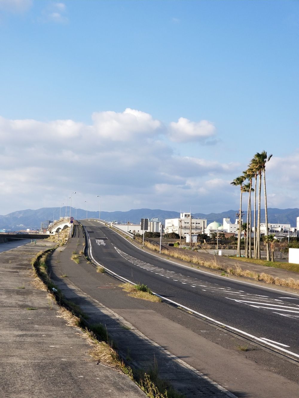 錦江湾と桜島を眺めながら2つの大橋を攻略の写真3