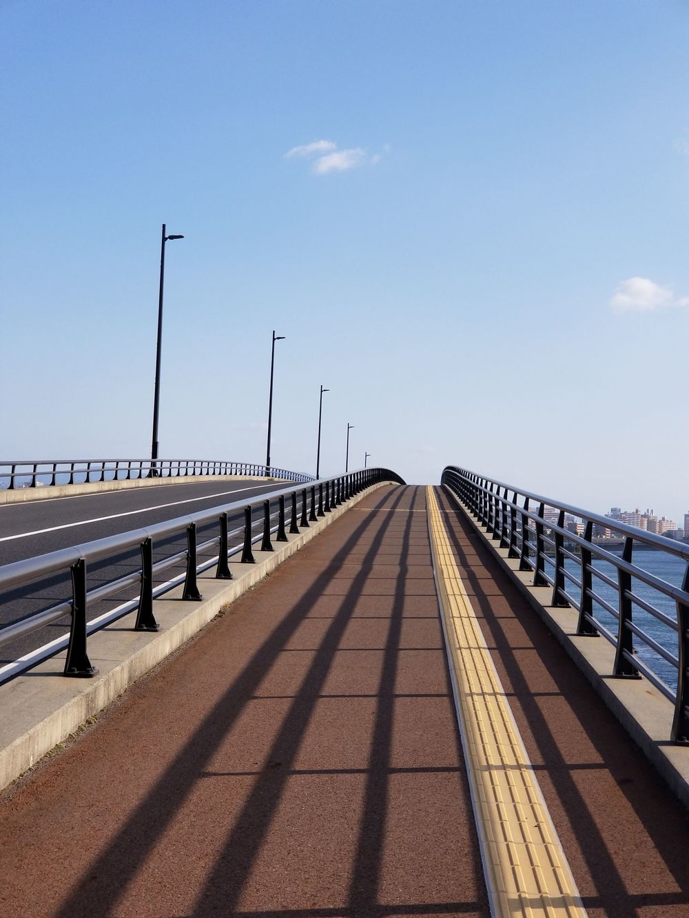 錦江湾と桜島を眺めながら2つの大橋を攻略の写真6