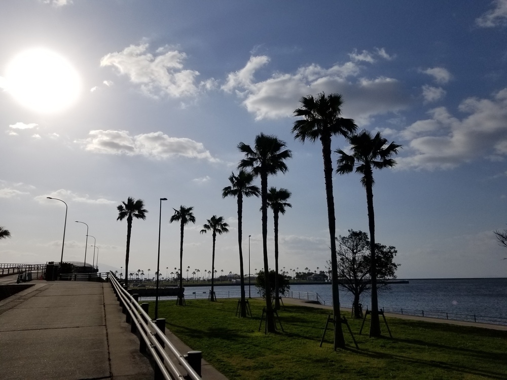 錦江湾と桜島を眺めながら2つの大橋を攻略の写真7