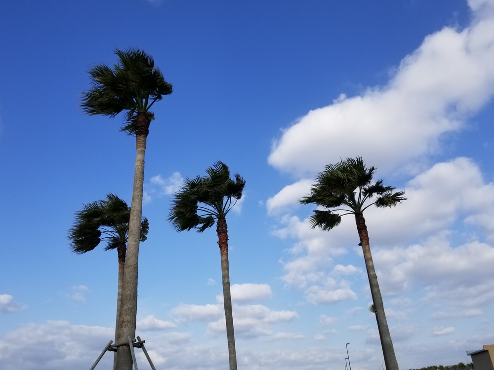 錦江湾と桜島を眺めながら2つの大橋を攻略の写真8