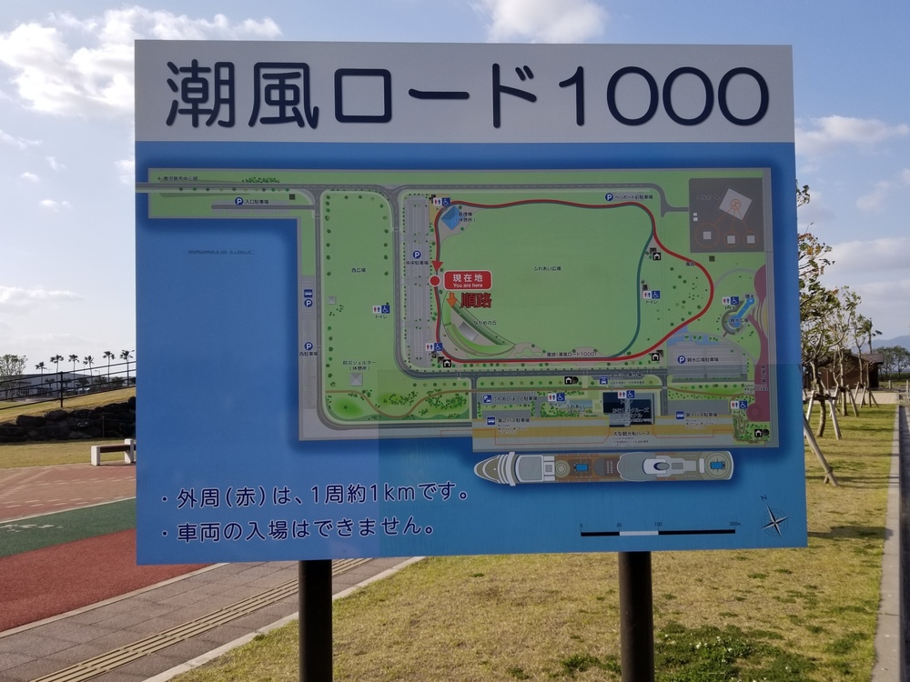 錦江湾と桜島を眺めながら2つの大橋を攻略の写真10