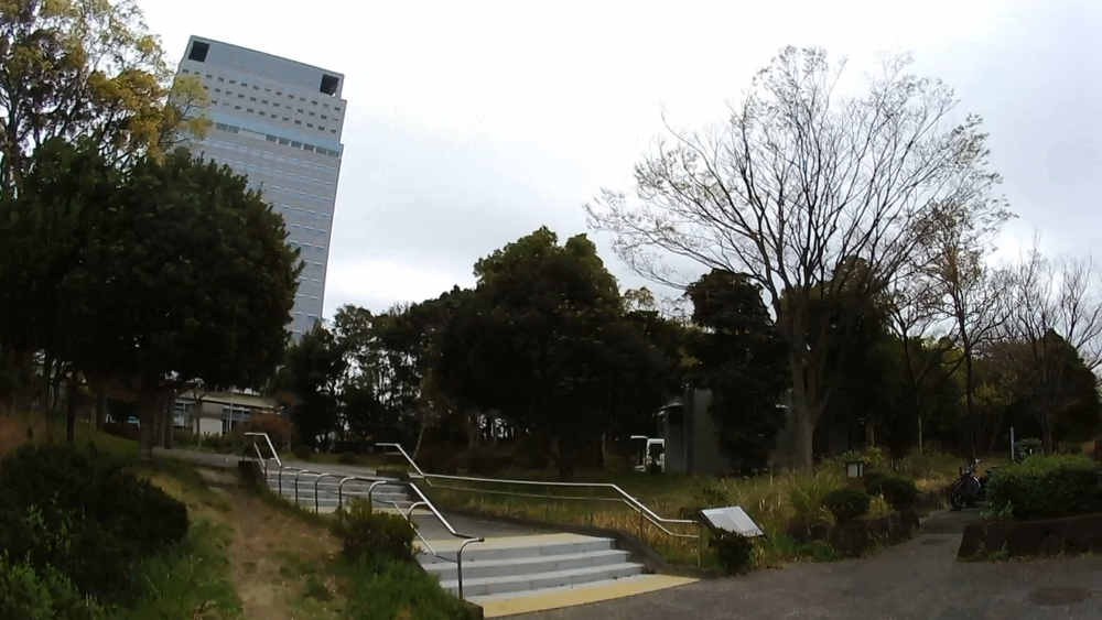 金沢八景島シーサイドランニングコース１０キロ（称名寺桜)の写真3