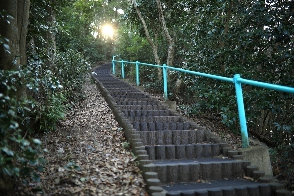 絶景・烏帽子岳展望台を目指す往復コースの写真5