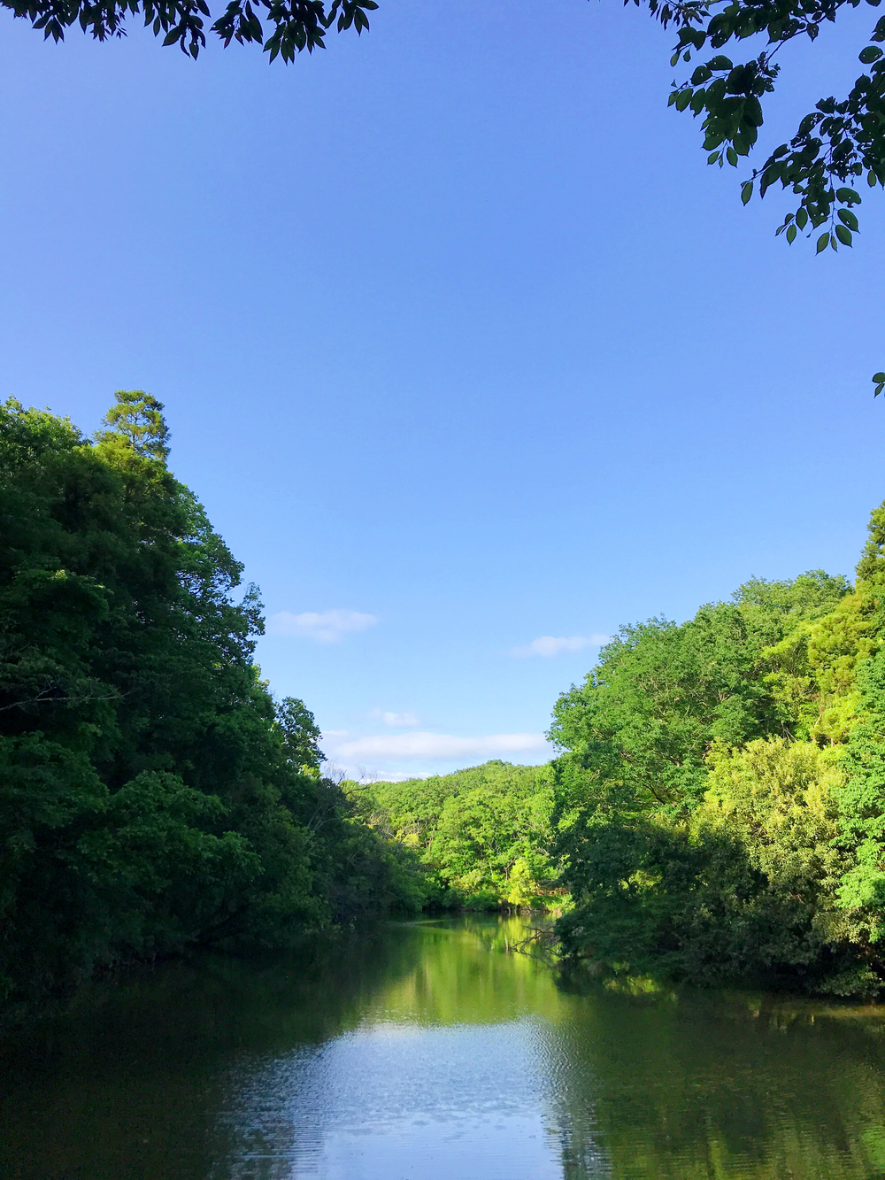 房総のむら&坂田ヶ池トレランの写真3