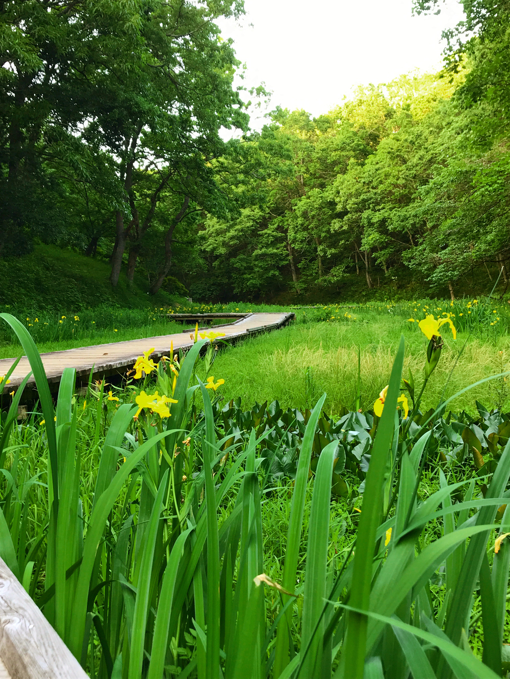 房総のむら&坂田ヶ池トレランの写真4