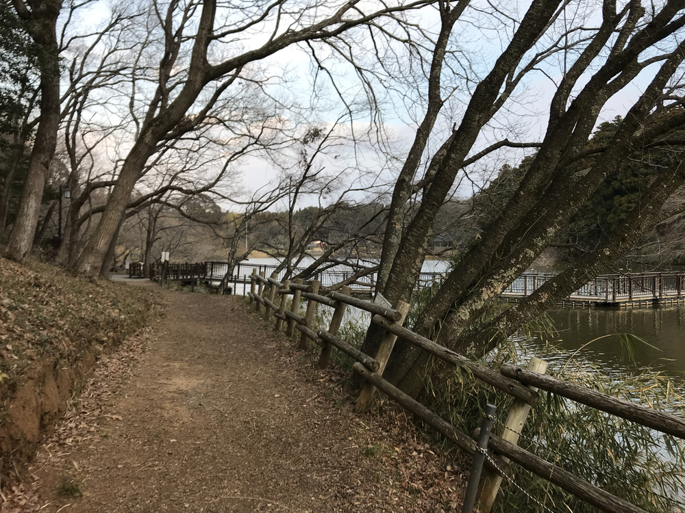 房総のむら&坂田ヶ池トレランの写真5