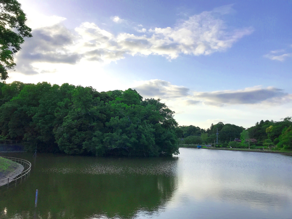 房総のむら&坂田ヶ池トレランの写真6