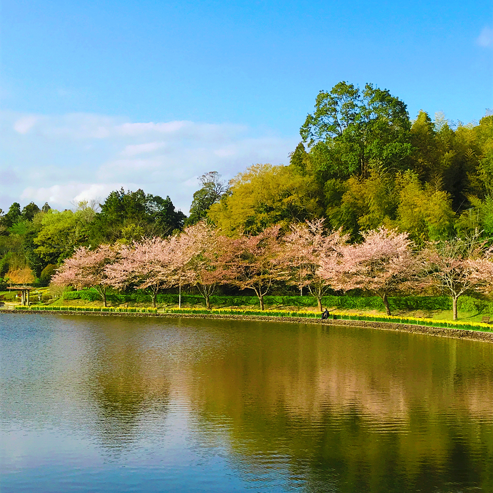 房総のむら&坂田ヶ池トレランの写真9
