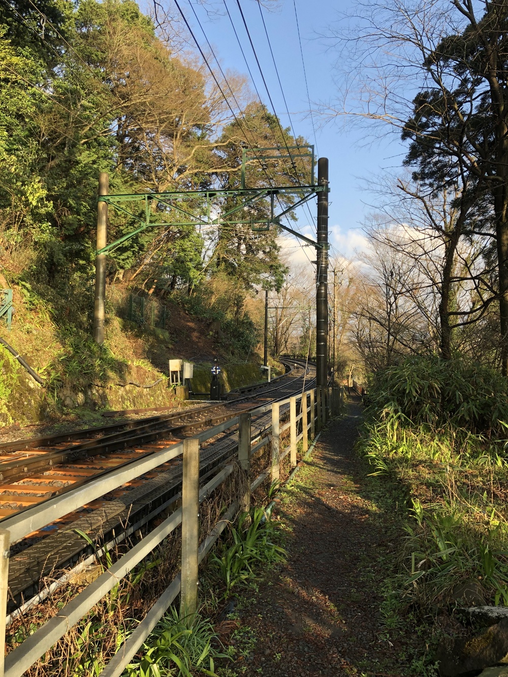 強羅から宮ノ下 周回コースの写真4