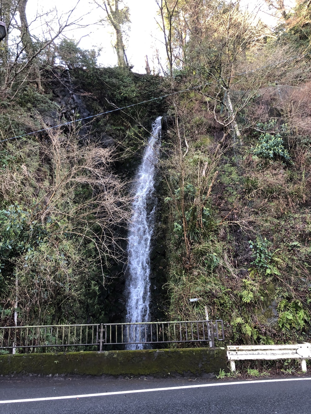 強羅から宮ノ下 周回コースの写真5