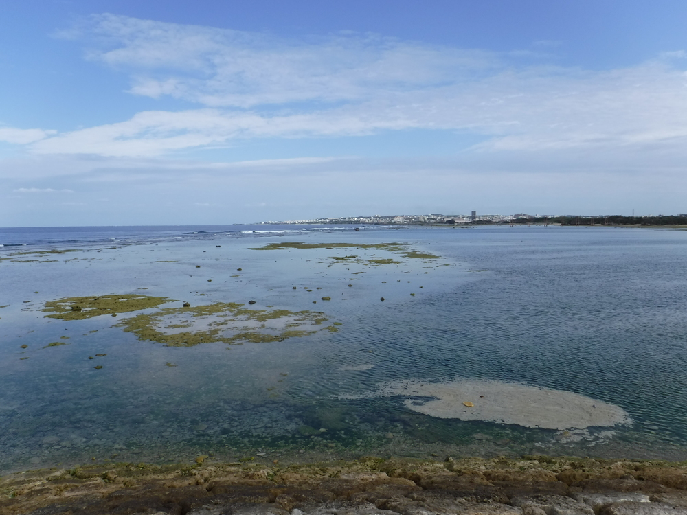 沖縄・宜野湾・北谷ビーチラン折り返し24キロの写真8