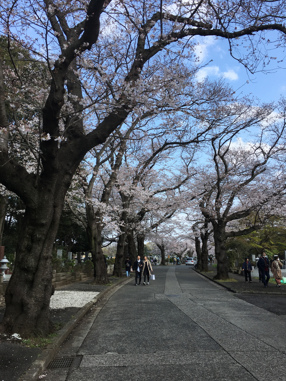 updown連続ラン！  川崎市  宮前区  多摩区  高津区の写真9