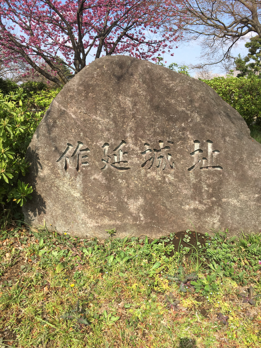 updown連続ラン！  川崎市  宮前区  多摩区  高津区の写真10