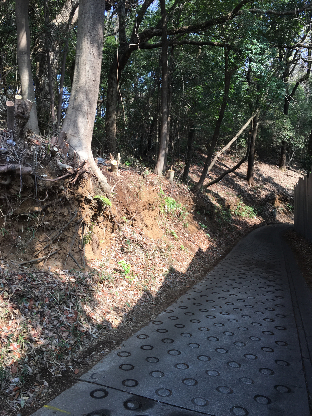 updown連続ラン！  川崎市  宮前区  多摩区  高津区の写真11