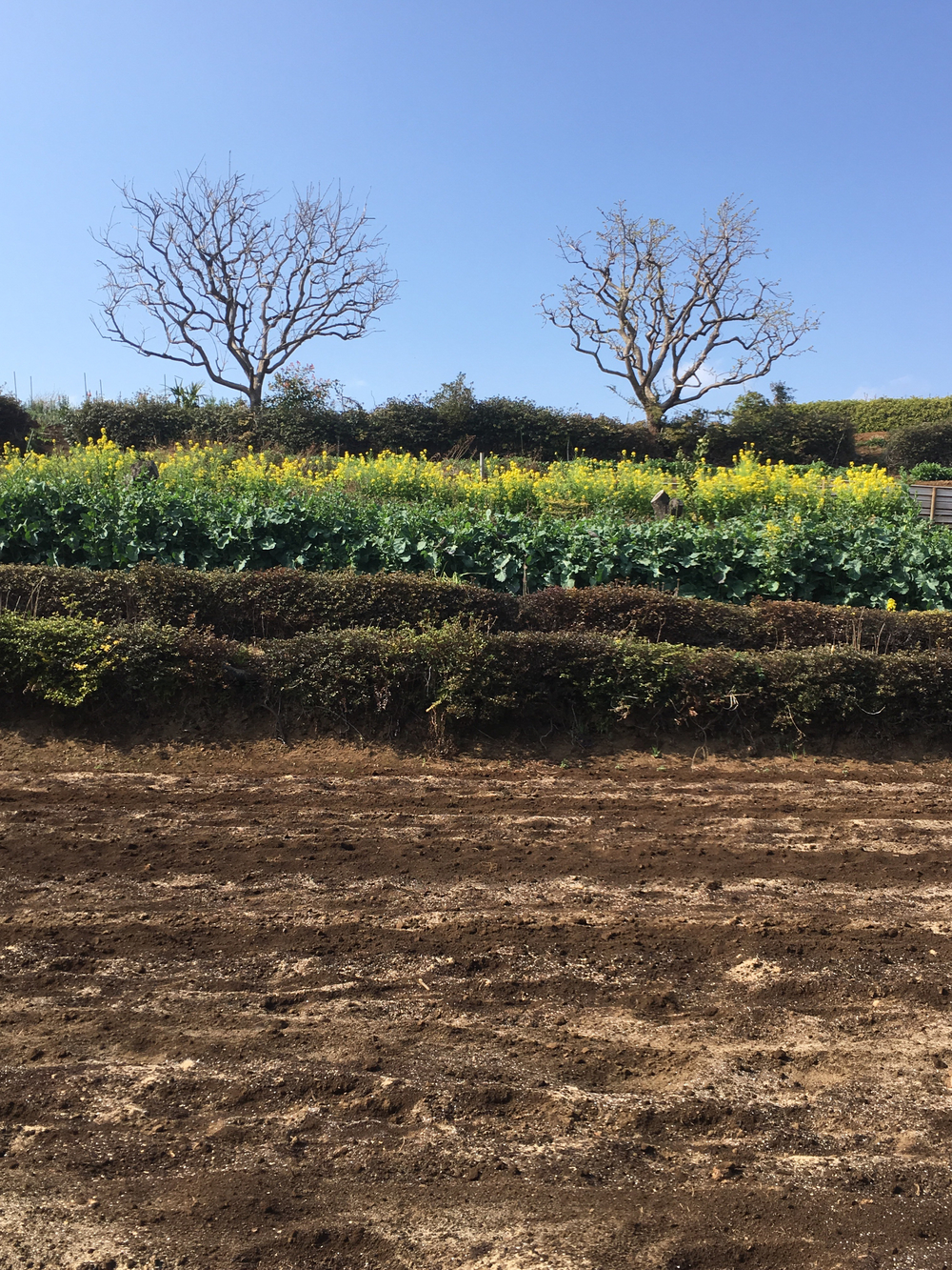 updown連続ラン！  川崎市  宮前区  多摩区  高津区の写真12