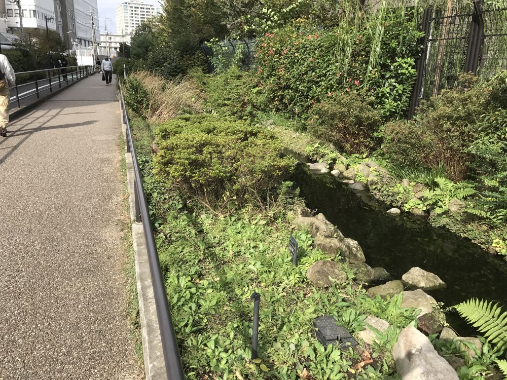 目黒川緑道〜太子堂八幡神社の写真3