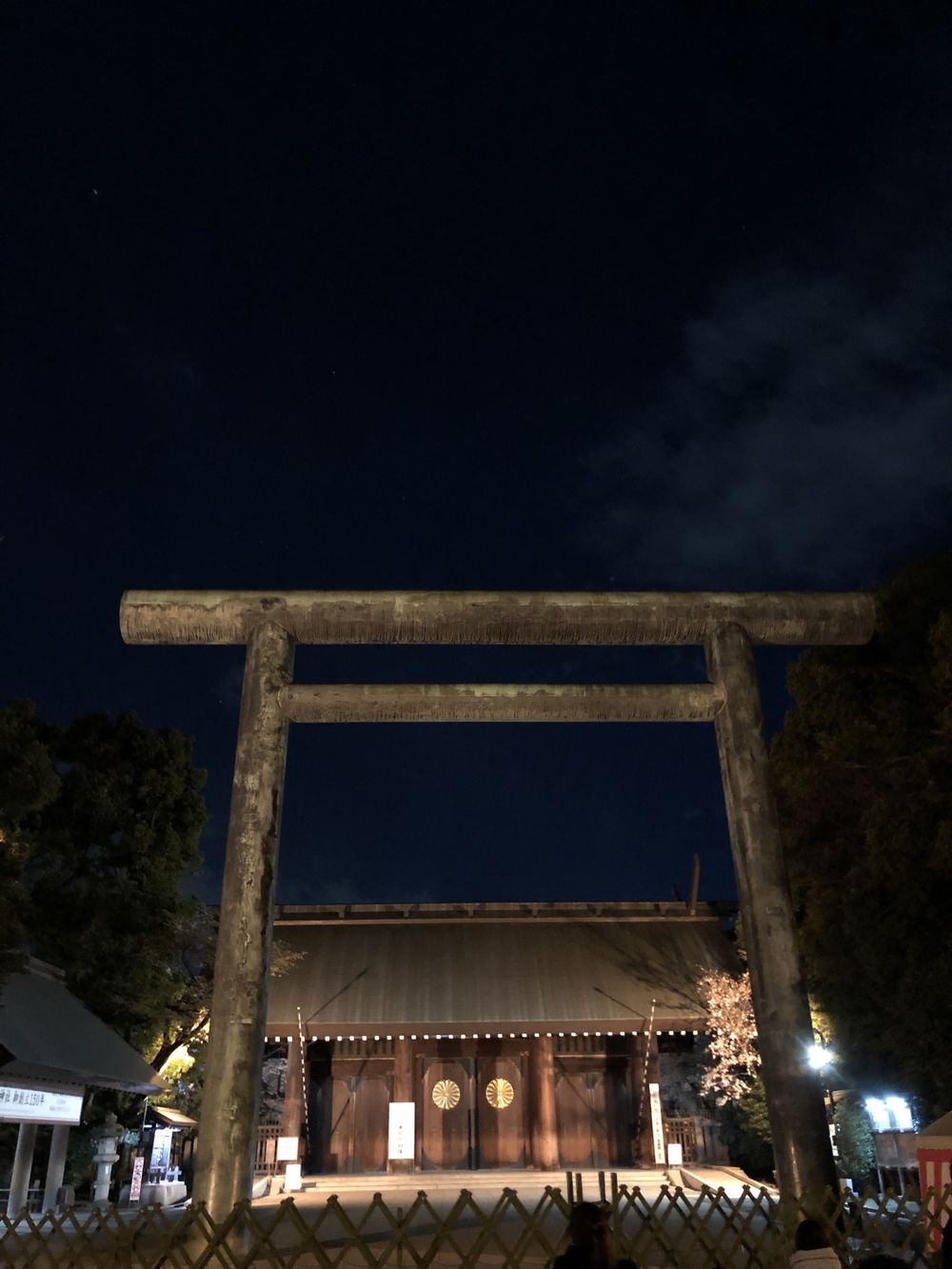 文の京(ふみのみやこ)夜桜巡りお花見ランニングの写真8