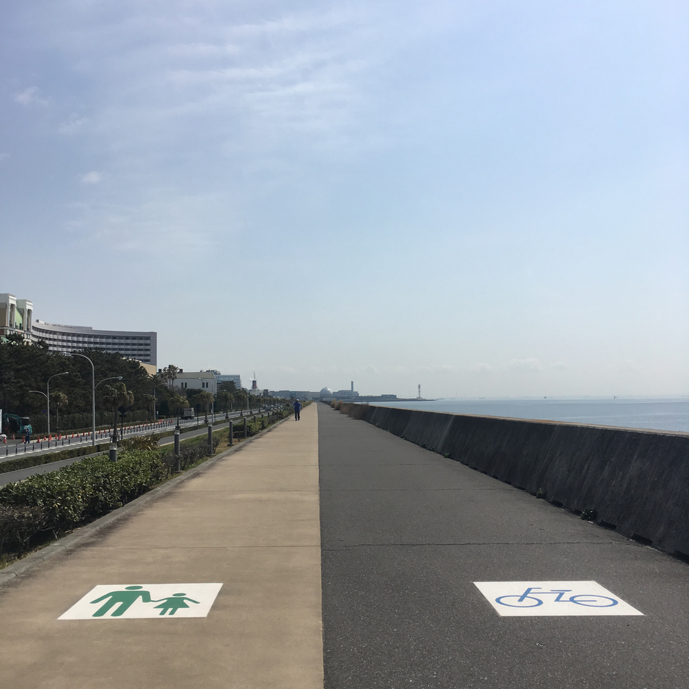 中川→葛西臨海公園→TDR外周(16km)の写真3