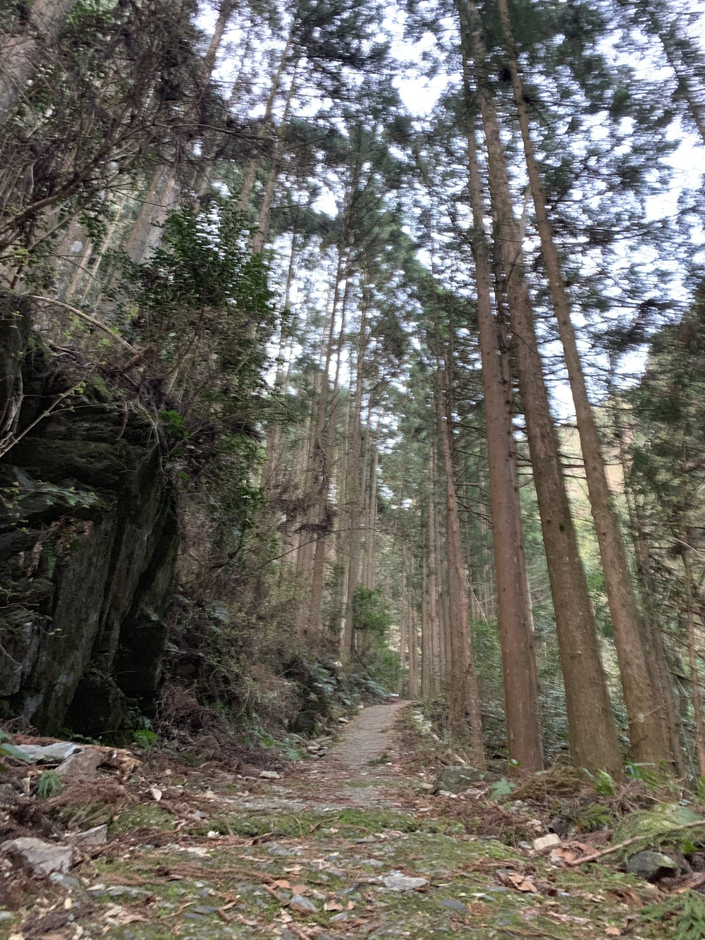 邪馬台国伝説　雨乞いの滝から悲願寺を目指すトレイルの写真3