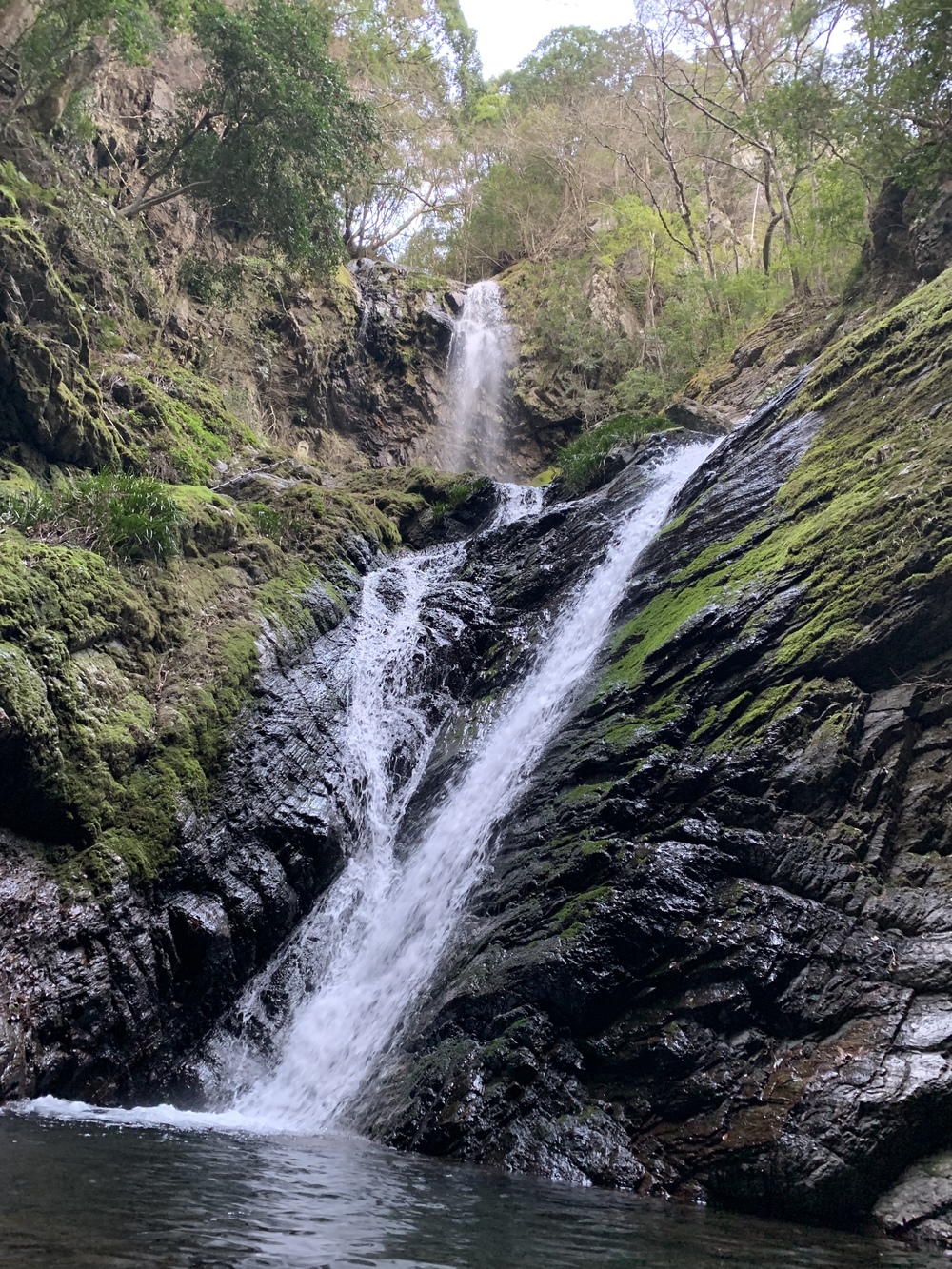 邪馬台国伝説　雨乞いの滝から悲願寺を目指すトレイルの写真4