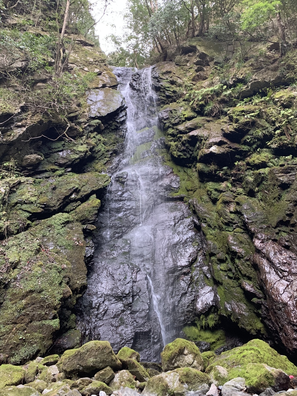 邪馬台国伝説　雨乞いの滝から悲願寺を目指すトレイルの写真5