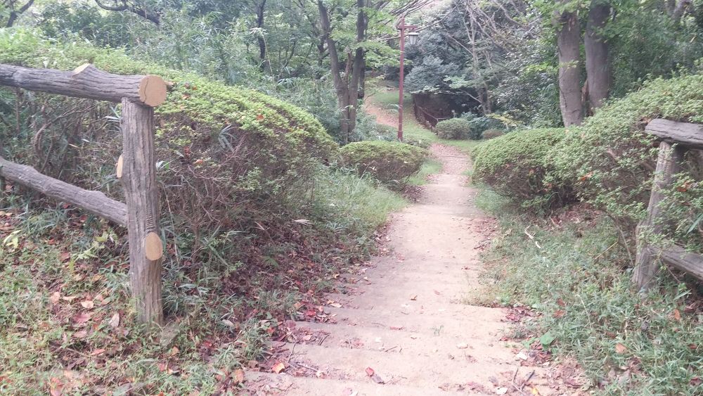 【横浜上大岡】住宅街の中に潜む広大な久良岐公園を楽しもう！の写真3