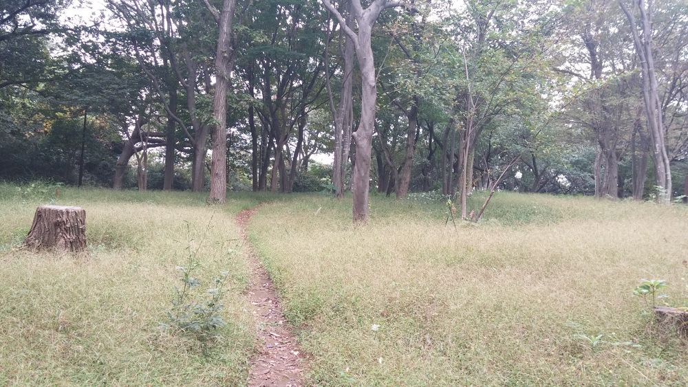 【横浜上大岡】住宅街の中に潜む広大な久良岐公園を楽しもう！の写真4