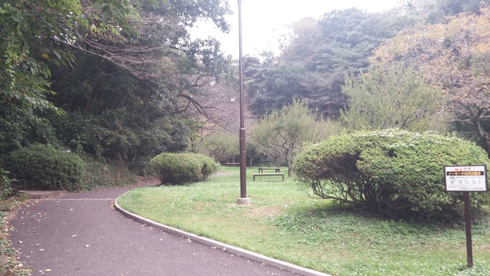 【横浜上大岡】住宅街の中に潜む広大な久良岐公園を楽しもう！の写真5