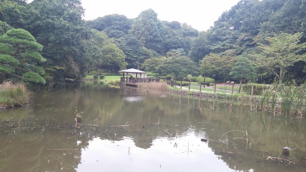 【横浜上大岡】住宅街の中に潜む広大な久良岐公園を楽しもう！の写真6