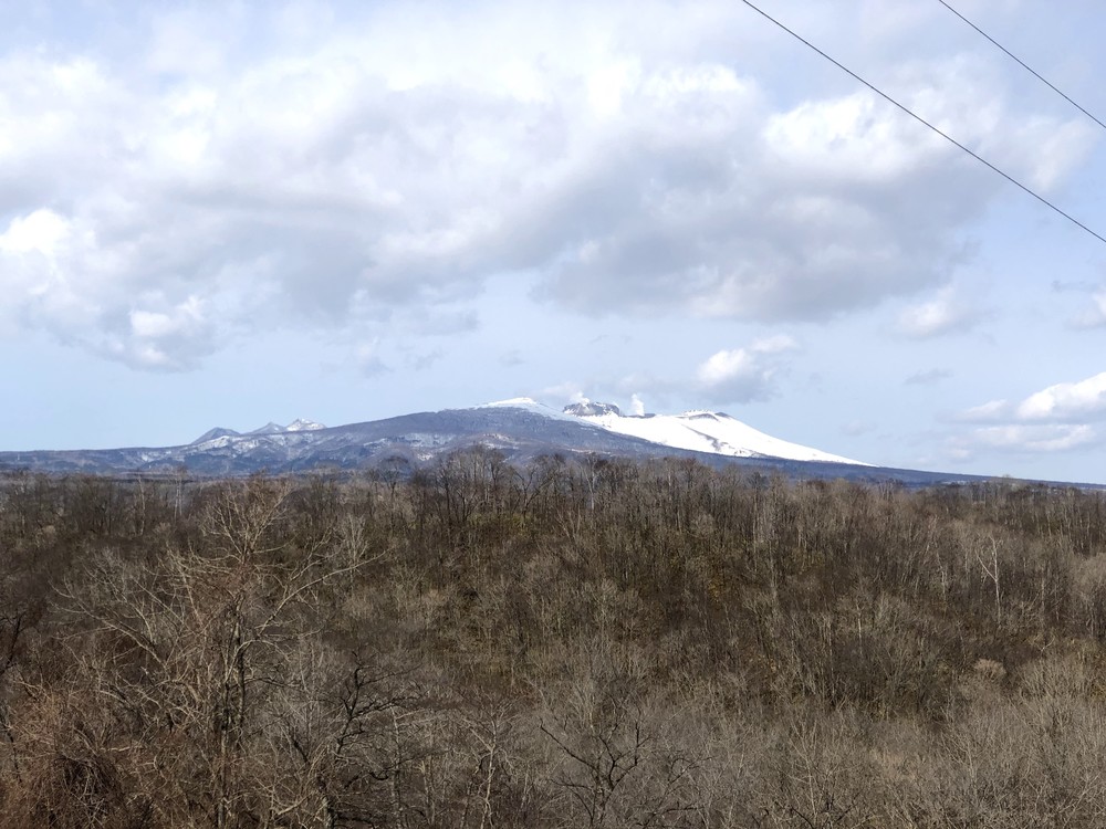 フカフカ土の感触・ポロトの森の写真3
