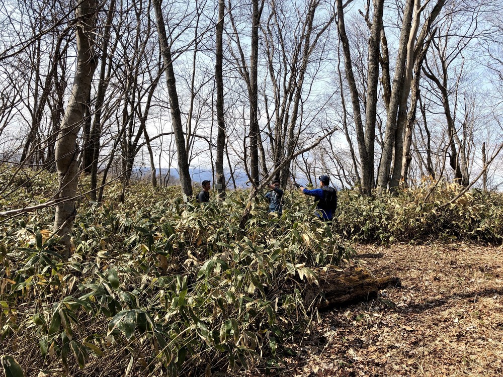 フカフカ土の感触・ポロトの森の写真4