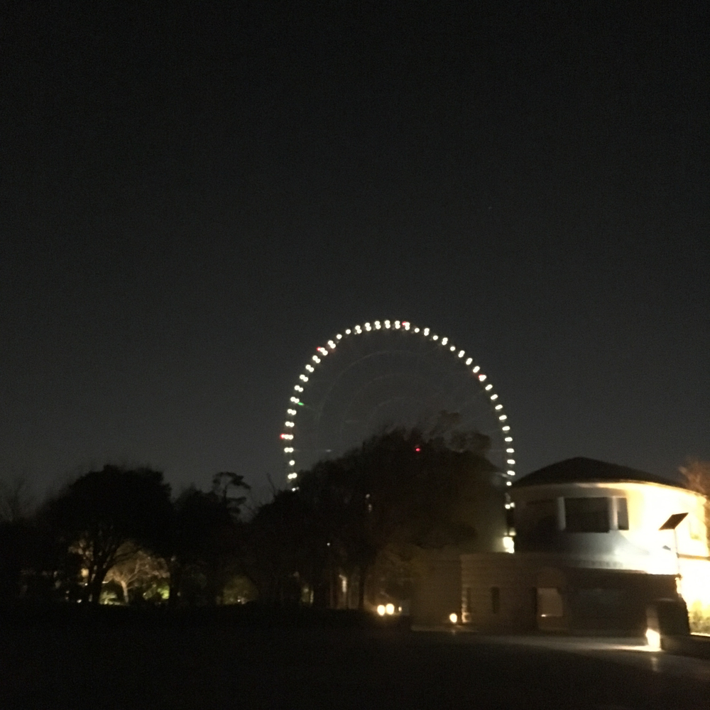 旧江戸川(浦安橋)→葛西臨海公園往復(8〜9km)の写真3
