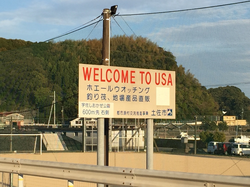 太平洋の雄大な眺め、どこまでも続く空と海の青の写真5