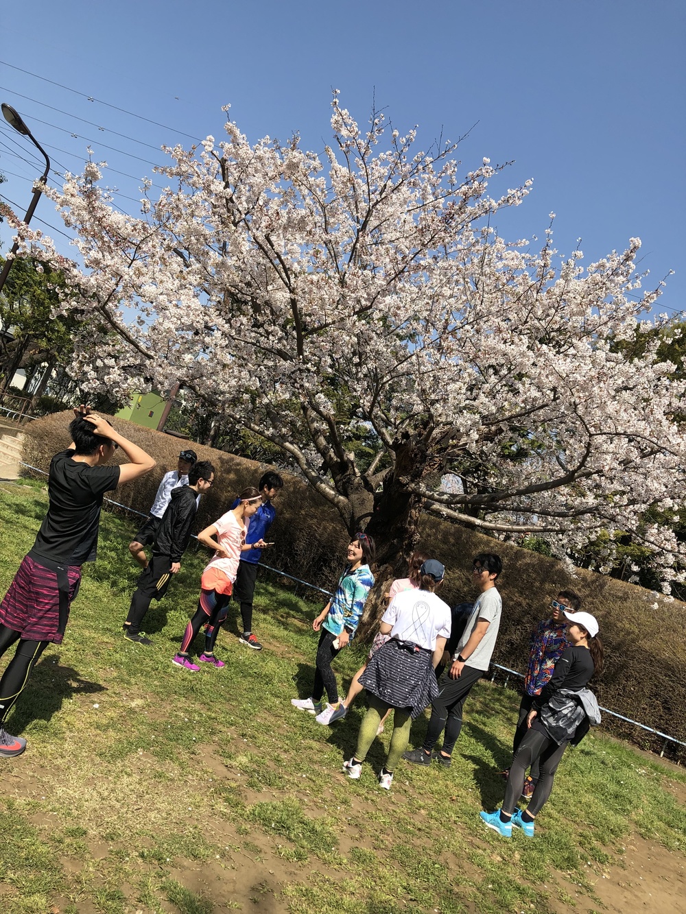 桜づくしのニコタマRUNの写真4