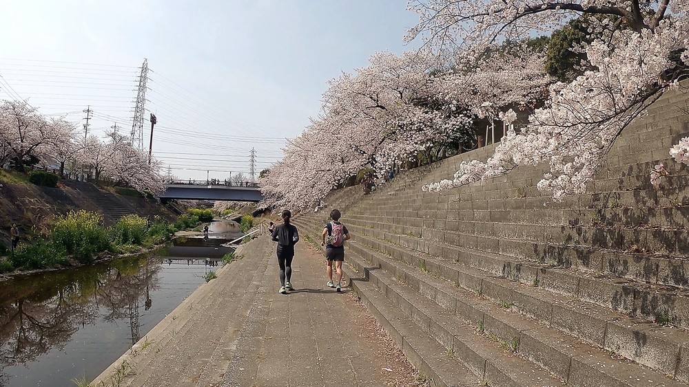 【名古屋お花見RUN】東山公園～山崎川～鶴舞公園～アーリーバーズフレックファストの写真6