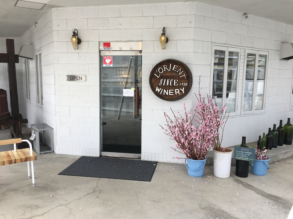 この時期、笛吹は桜と桃の花が一面に咲き誇り心の赴くままに走り回れます。の写真18