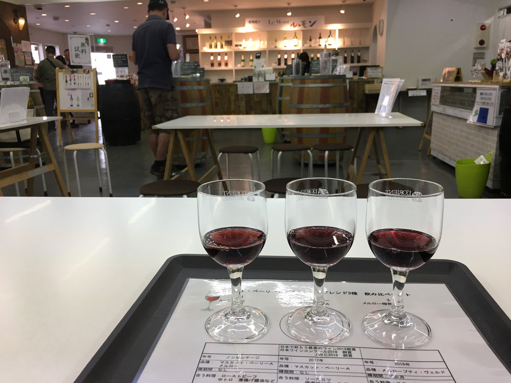 この時期、笛吹は桜と桃の花が一面に咲き誇り心の赴くままに走り回れます。の写真19