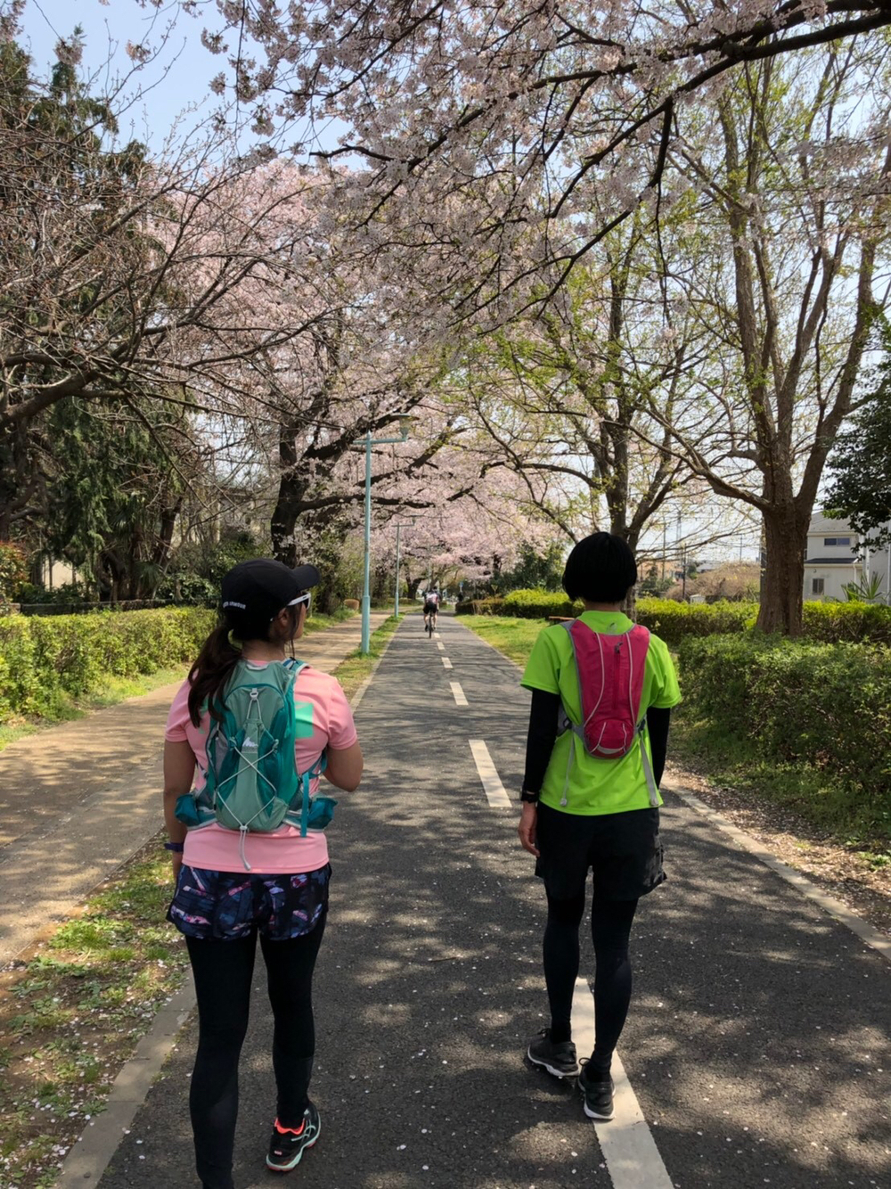 桜街道まっしぐら！グリーンロード&多摩湖の写真7