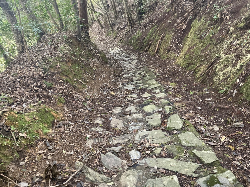 笠置山峠古墳と近代建築遺産トンネルの写真8