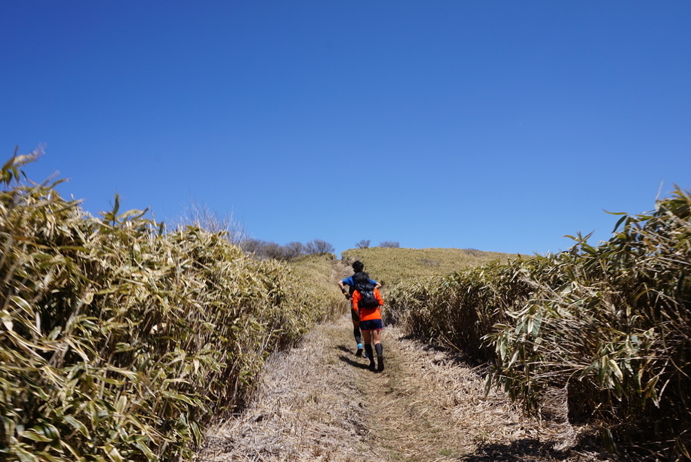 UTMF  C06-竜ヶ岳～A4精進湖民宿村の写真4