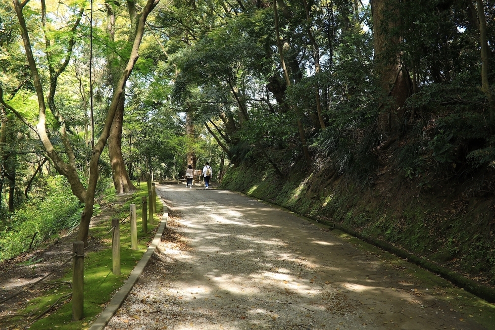 桜島を眺める「城山展望台」往復コースの写真3