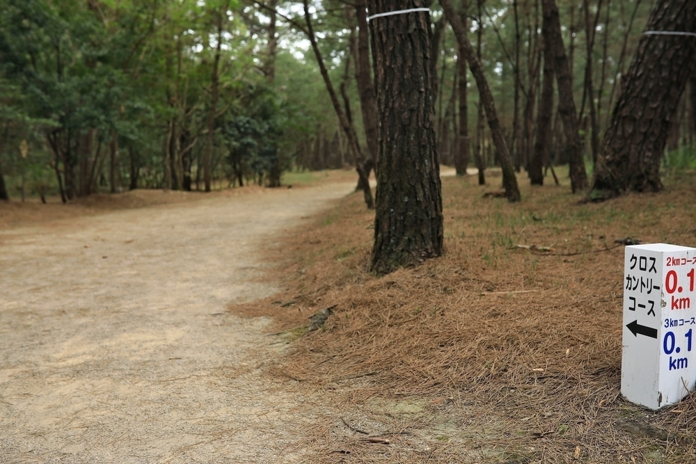 青島ビーチ＆クロカン往復10kmコースの写真3