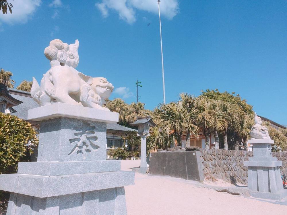 青島ビーチ＆クロカン往復10kmコースの写真6