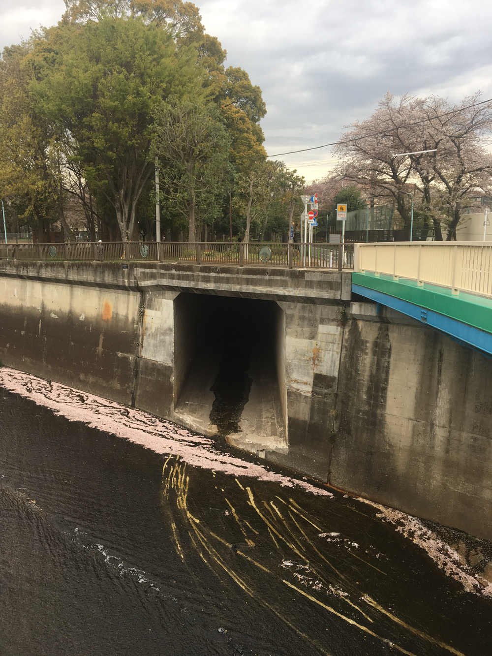 田柄川跡と石神井川を辿る14kmの写真4