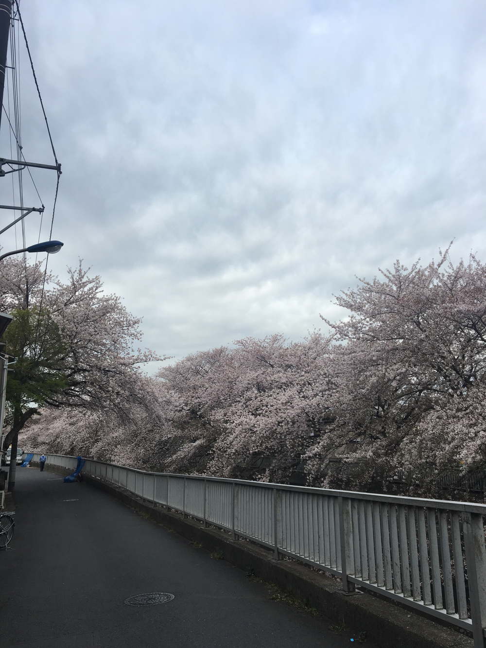 田柄川跡と石神井川を辿る14kmの写真5