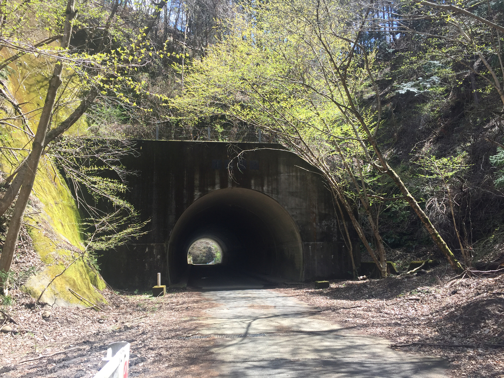 宮ヶ瀬湖ランの写真4