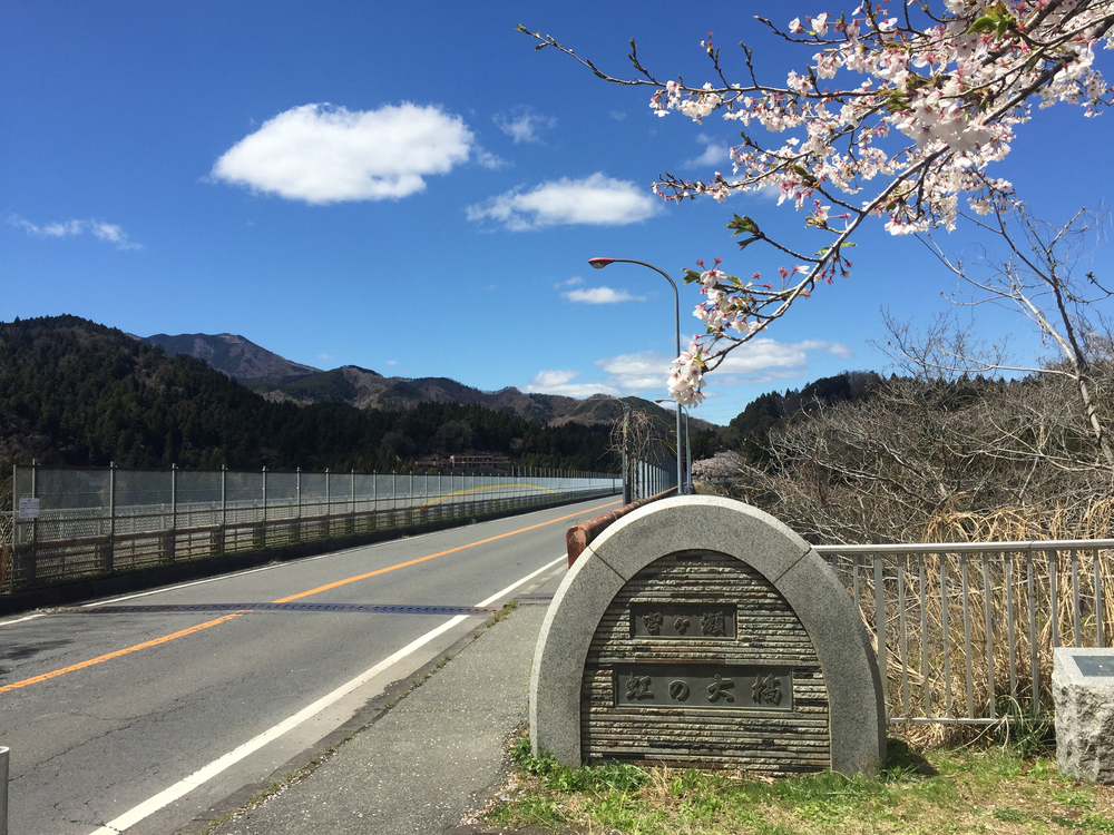 宮ヶ瀬湖ランの写真6