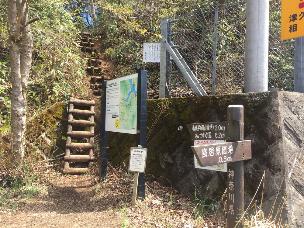 宮ヶ瀬湖ランの写真7