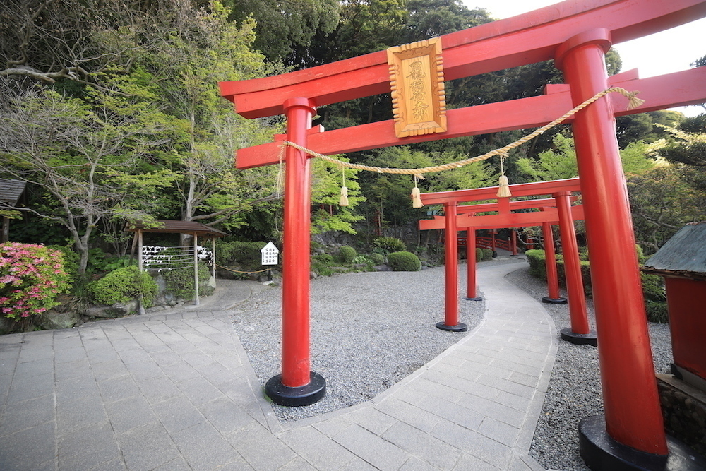 「別府地獄めぐり」堪能コースの写真5